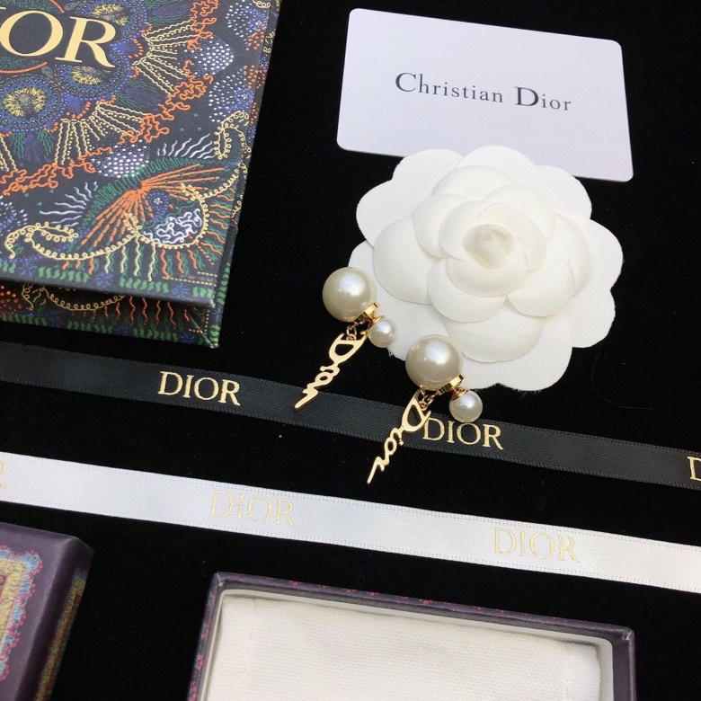 Christian Dior Earrings